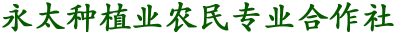 宝乐日大米