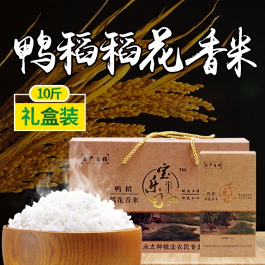 东北碱土绿色种植稻花香