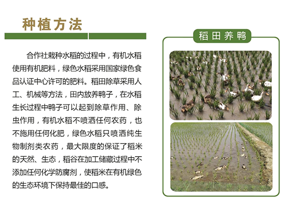 展示7